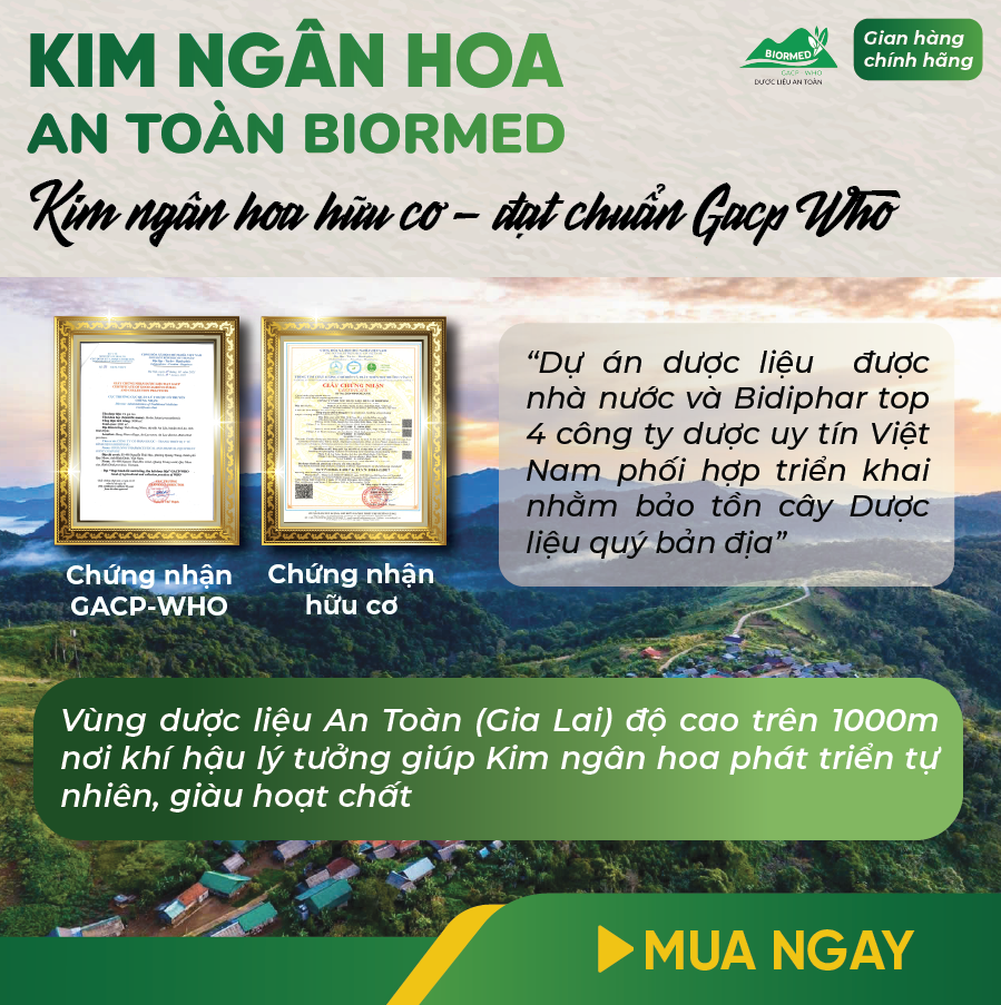 Trà Túi Lọc Kim Ngân Hoa An Toàn H/20 Gói