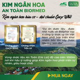 Trà Túi Lọc Kim Ngân Hoa An Toàn H/20 Gói