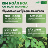 Trà Túi Lọc Kim Ngân Hoa An Toàn H/20 Gói