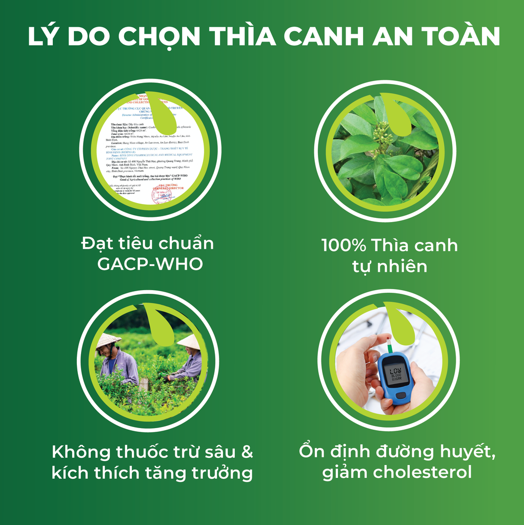 Thìa Canh Ủ Men Sấy Khô An Toàn Biormed 100g