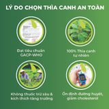Thìa Canh Ủ Men Sấy Khô An Toàn Biormed 100g