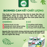 Thìa Canh Ủ Men Sấy Khô An Toàn Biormed 100g
