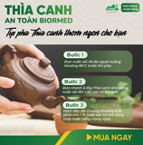 Thìa Canh Ủ Men Sấy Khô An Toàn Biormed 100g