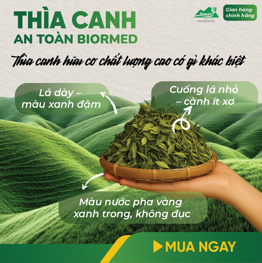 Thìa Canh Ủ Men Sấy Khô An Toàn Biormed 100g