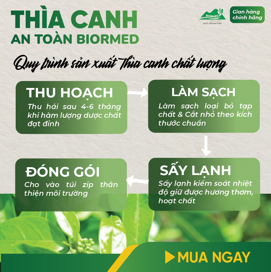Thìa Canh Ủ Men Sấy Khô An Toàn Biormed 100g