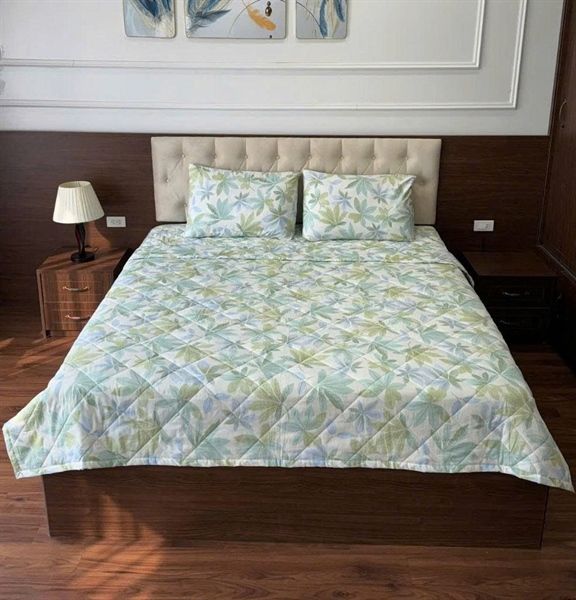 Bộ ga chần cotton 100% kèm 2 vỏ gối Kawa