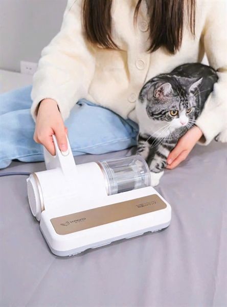 Máy hút bụi và vệ sinh giường nệm sofa Kaiyo - KGV