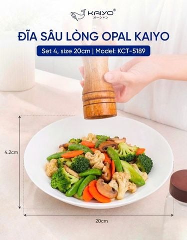 Set 4 đĩa sâu lòng opal Kaiyo ( KCT-5189 ) - size 20cm - thành cao 4.2cm