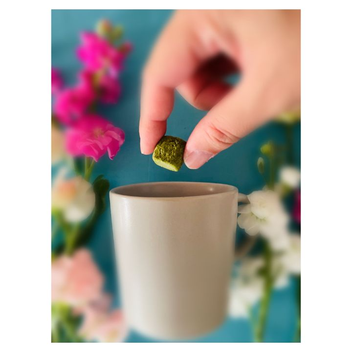[COMING SOON] Trà Poncha Vị Trà Xanh「PonCha 抹茶」