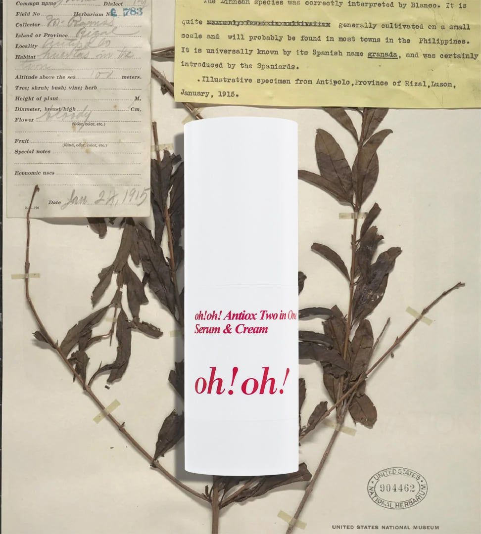  [MỚI RA MẮT] Serum Dạng Kem Dưỡng Ẩm, Chống Oxy Hóa & Làm Sáng Da oh!oh! Antiox Two in One Serum & Cream (25g) 