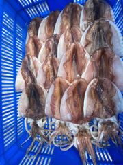 MỰC LÁ 1 NẮNG DẺO