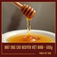 MẬT ONG CAO NGUYÊN VIỆT NAM