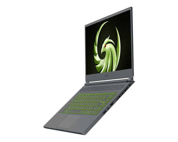 Laptop Gaming MSI Delta 15 A5EFK-094VN
