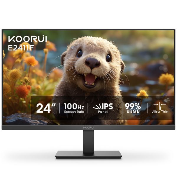 Màn hình Koorui E2411F