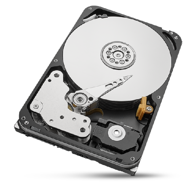 IronWolf Pro 20 TB - ST10000NE000