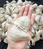 Yến thô AB CAO CẤP Nana Farm - Tổ đẹp - ít lông - Mỏng bụng tặng kèm 10gram Nấm đông trùng