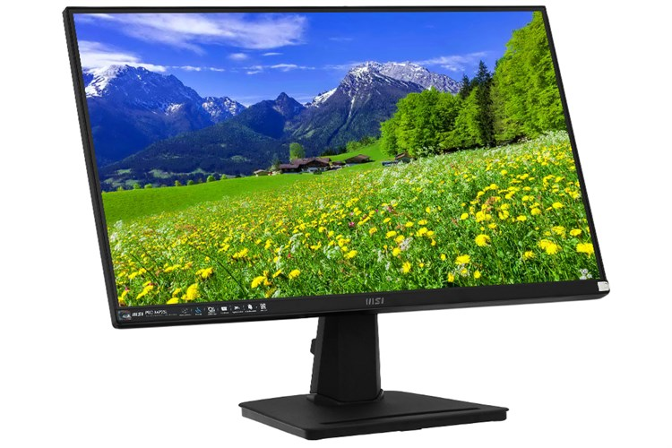 Màn hình MSI PRO MP251 E2 24.5 inch FHD/IPS/120Hz/1ms