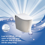 Dung dịch tẩy rửa vệ sinh bồn cầu con vịt Denkmit - Chai 1 lít (10)