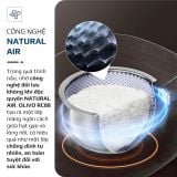 Nồi Cơm Điện OLIVO RC88 – Lòng Nồi INOX 304 Chống Dính Tự Nhiên, Bảng Điều Khiển OLED Sống Động, Nấu Cơm Ngon, Thiết Kế Sang Trọng