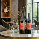 Rượu vang Ý Fiero Primitivo chuẩn nhập khẩu Ý, đậm đà quyến rũ - chai 750ml (6)