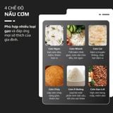 Nồi Cơm Điện Cao Tần OLIVO RC800IH – Công Nghệ Nấu Cao Tần Smart Heating, Lòng Nồi INOX 316L, 14 Chế Độ Cài Sẵn, Dung Tích 1.5L, Bảng Điều Khiển OLED