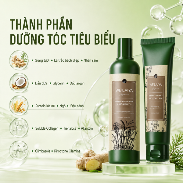  Bộ Gội Xả Weilaiya Zingiber Officinale Juice (Shampoo 400ml & Conditioner 250ml) 