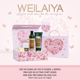  Hộp quà hộp quà Vũ khúc cánh bướm 1 cặp gừng hà thủ ô 