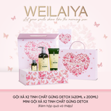  Hộp quà Vũ khúc cánh bướm 1 cặp gừng detox 