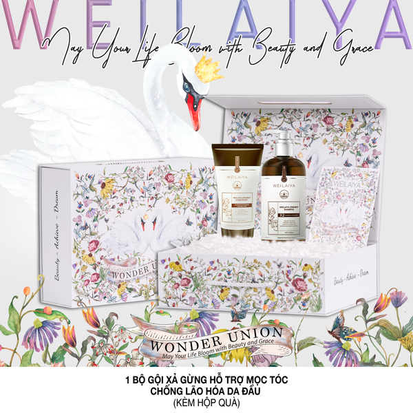 hộp quà gội gừng luxury nâu