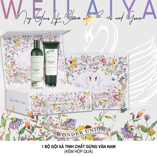 Hộp quà thiên nga 1 cặp gừng trắng