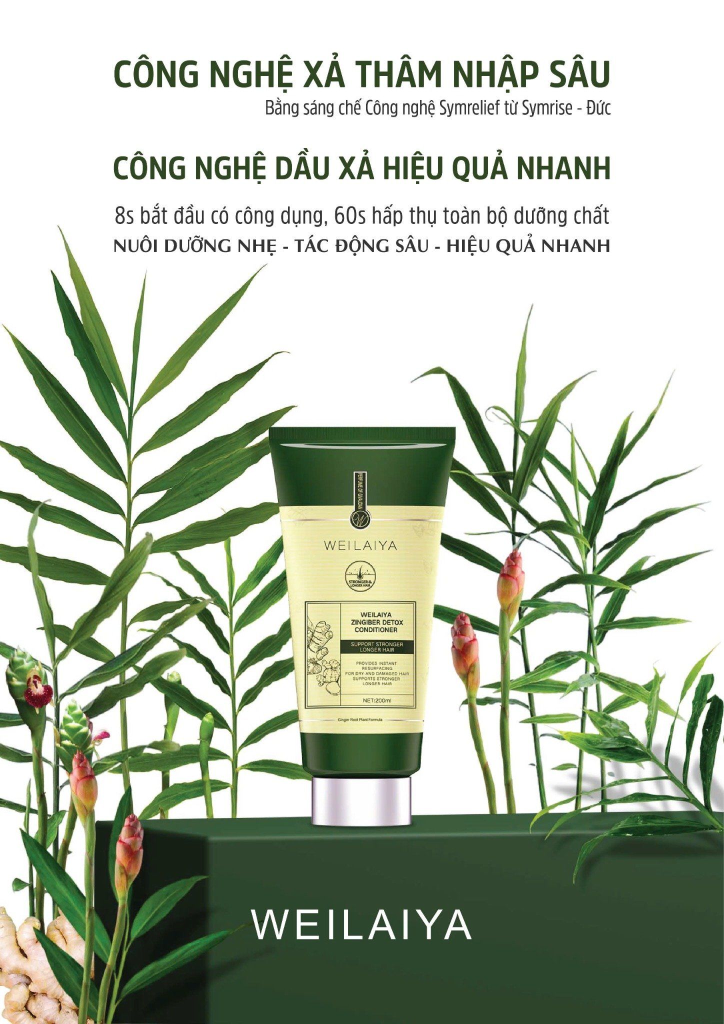  Dầu xả gừng detox hỗ trợ mọc tóc Weilaiya Zingiber Detox Conditioner 200ml 