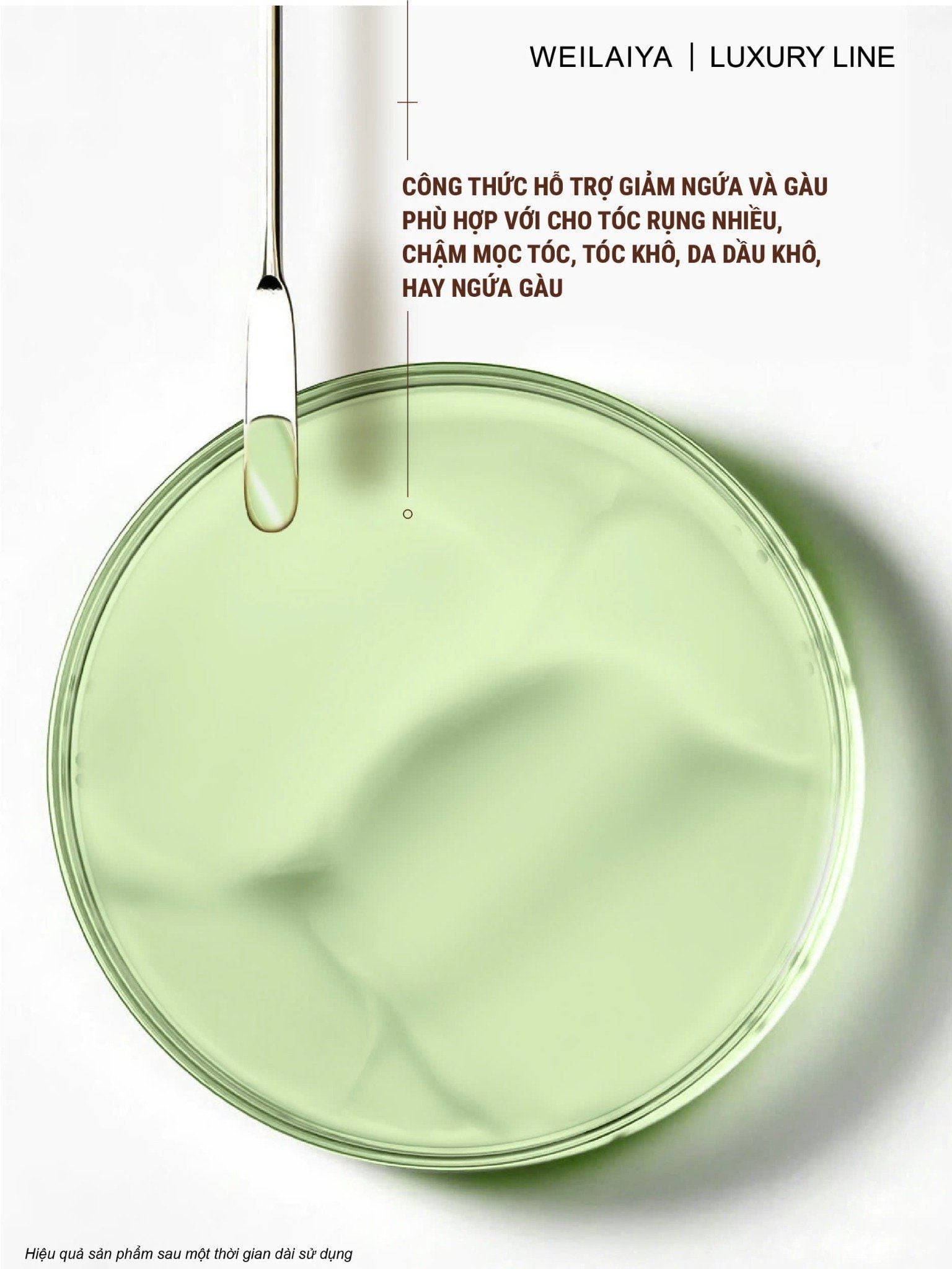  Dầu gội gừng hỗ trợ mọc tóc và giảm lão hóa da đầu Weilaiya Zingiber Shampoo 420ml 