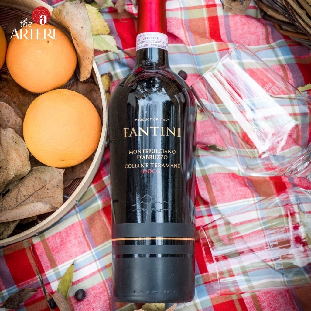Rượu Vang Đỏ Fantini Montepulciano d'Abruzzo Colline Teramane DOCG 750ml Vang Ý