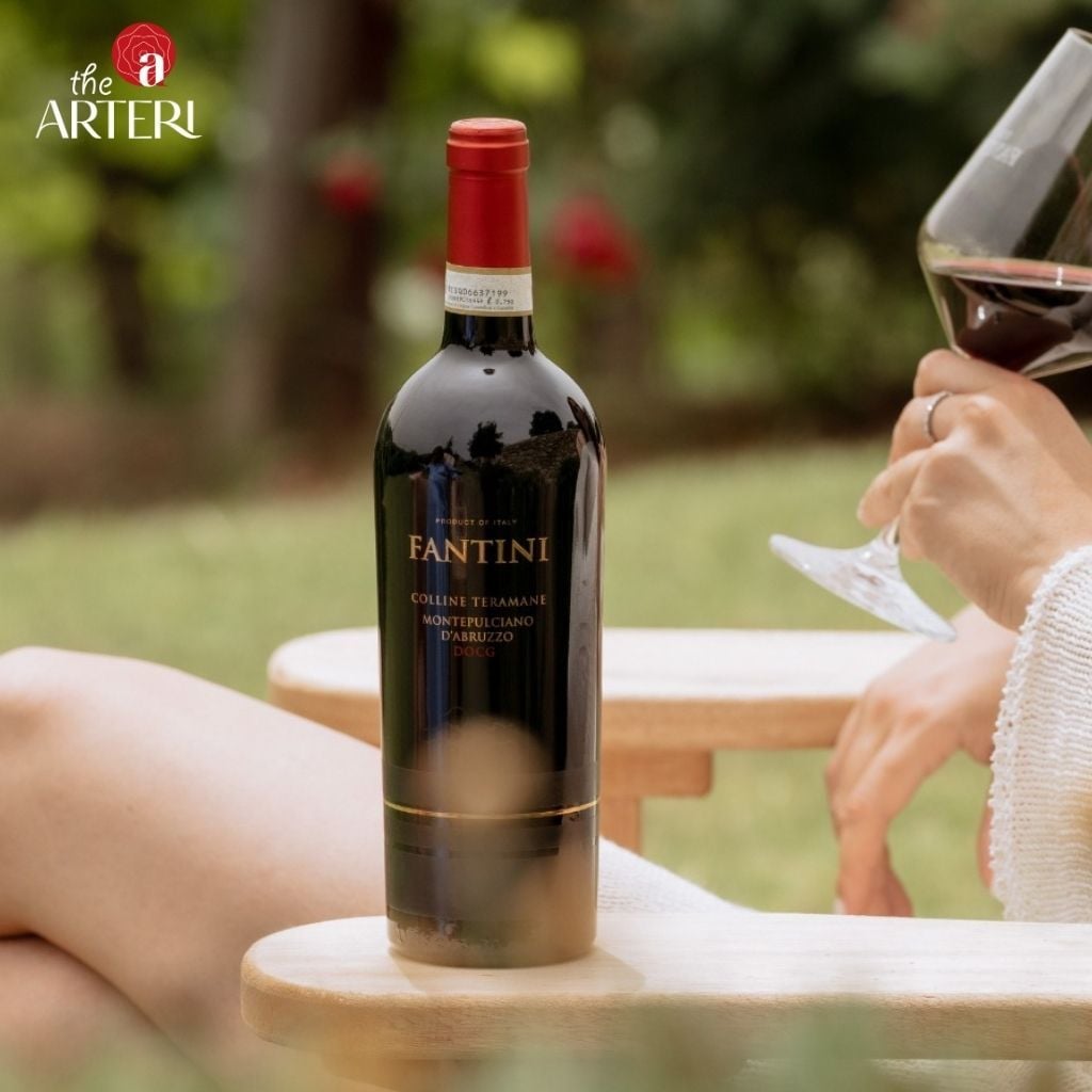 Rượu Vang Đỏ Fantini Montepulciano d'Abruzzo Colline Teramane DOCG 750ml Vang Ý