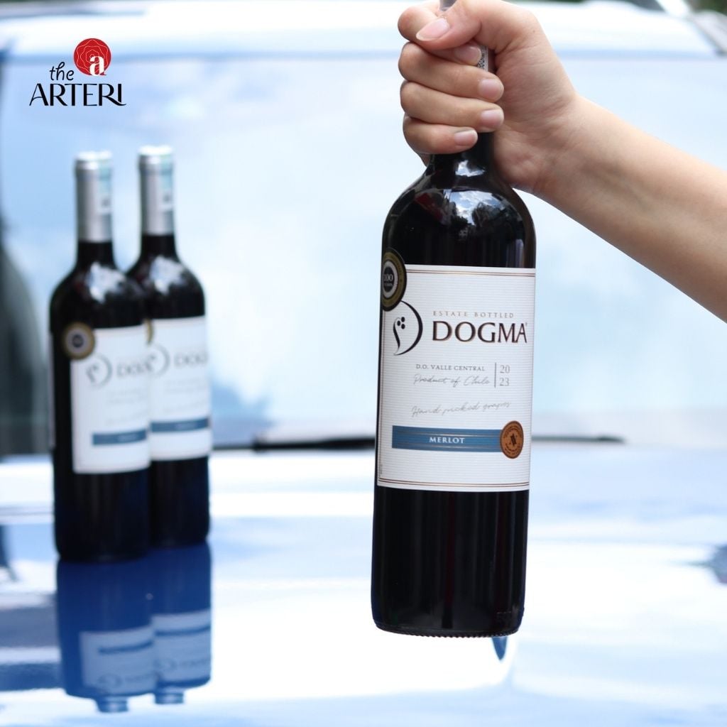 Rượu Vang đỏ Dogma Merlot 750ml Vang Chile Viña Aromo