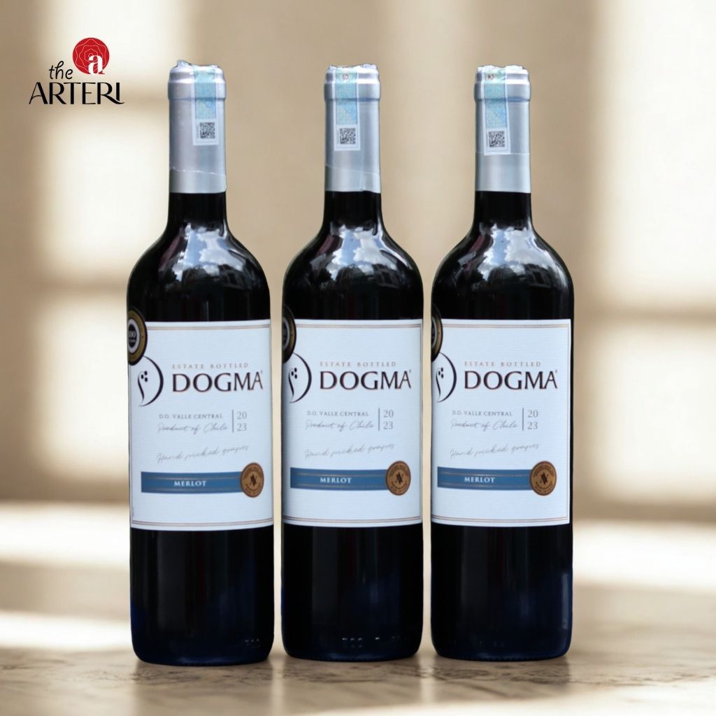 Rượu Vang đỏ Dogma Merlot 750ml Vang Chile Viña Aromo