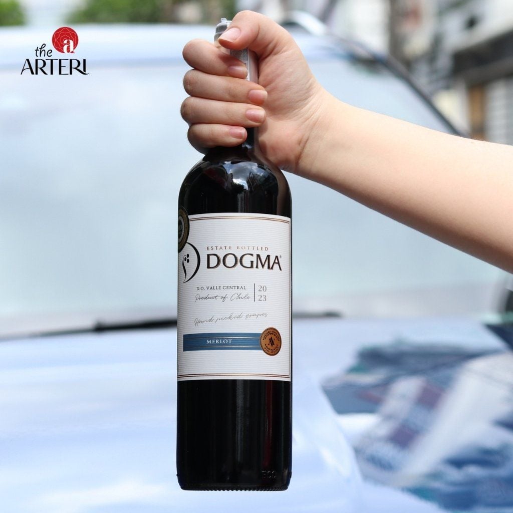 Rượu Vang đỏ Dogma Merlot 750ml Vang Chile Viña Aromo