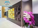Bán Nhà Có Thang Máy KDC Nam Long Phú Thuận Quận 7 Sát Phú Mỹ Hưng