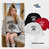  Áo Sweater Outerity Saigonese 