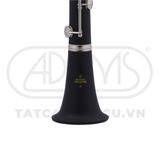  Kèn Bb Clarinet Buffet Crampon 17/6 B12 BC2540N-5-0GB 