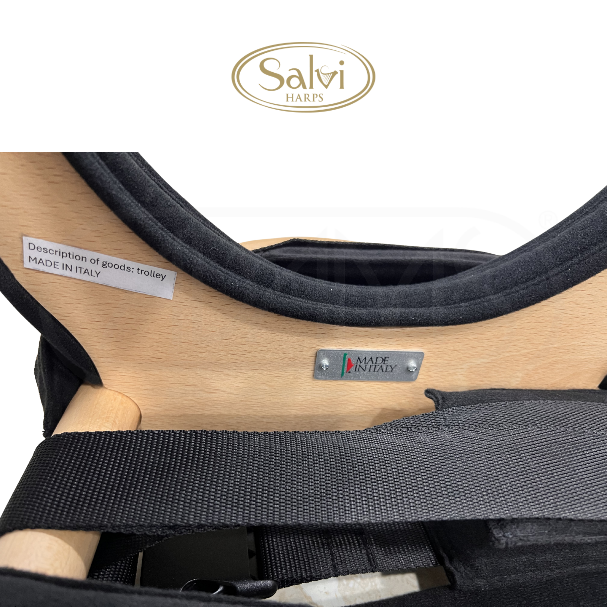  Xe đẩy 2 bánh chuyên dụng đàn harp Harp - Salvi two Wheels Trolley for Harp 