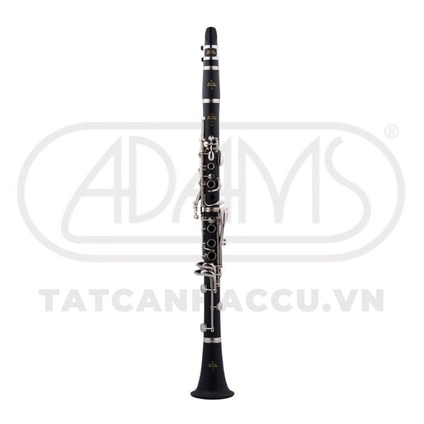  Kèn Bb Clarinet Buffet Crampon 17/6 B12 BC2540N-5-0GB 