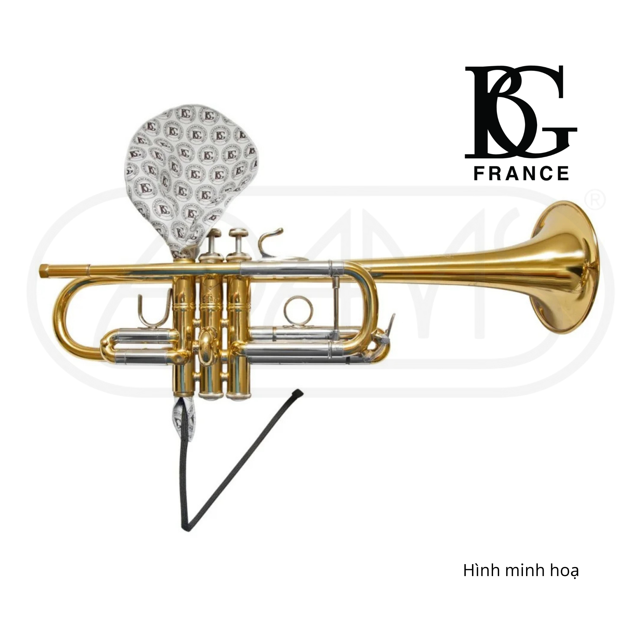  Khăn luồng lau ống piston kèn Trumpet, Cornet, Flugelhorn Microfiber BG A31T1 - Valve block Swab 