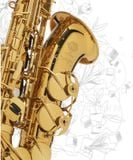  Kèn Saxophone Alto Henri SELMER Paris Supreme Larquered 