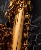  Kèn Saxophone Alto Henri SELMER Paris Signature Lacquered 