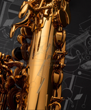  Kèn Saxophone Alto Henri SELMER Paris Signature - Gold Plated 