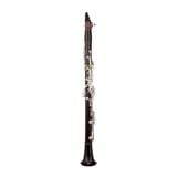  Kèn Clarinet RZ Capriccio Bb 18/6 