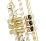  Kèn Trumpet Bb Thomann TR200S Laquered 