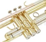  Kèn Trumpet Bb Thomann TR200S Laquered 