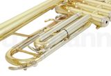  Kèn Trumpet Bb Thomann TR200S Laquered 